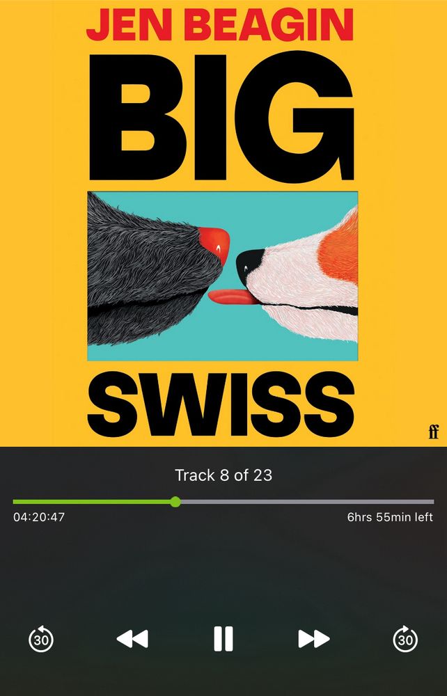 Screenshot of an audiobook app playing ‘Big Swiss’ by Jen Beagin. The cover has is yellow and has two dogs’ snouts facing each other in a square in the centre. Right dog has its tongue out as if it wants to lick left dog’s nose.