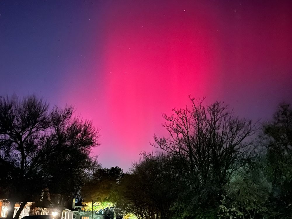 Pink turning into red rising out of the trees in the night sky