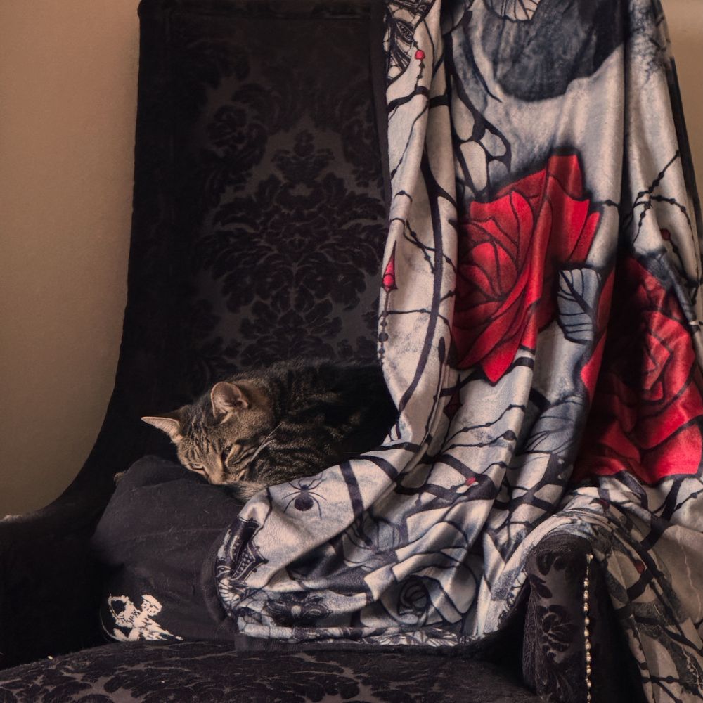 Cat sleeping on a chair under a blanket