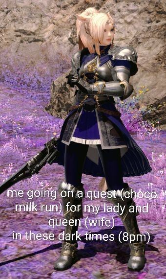 cool final fantasy 14 catgirl knight girl with caption

me going on a quest (choco milk run) for my lady and queen (wife) in these dark times (8pm)