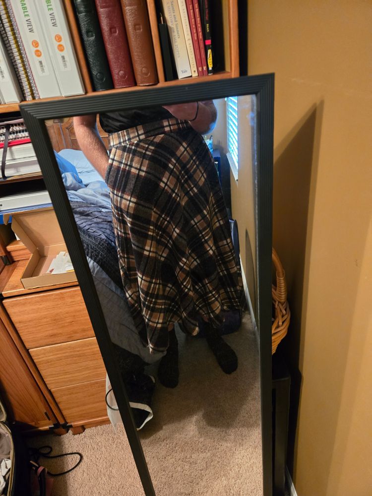 plaid skirt