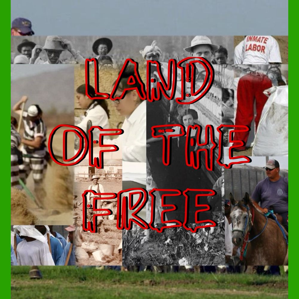 Collage of American slave labor from late 1800’s black and white photographs to color photos of prison labor today. Includes an 1800’s image of Black slaves and a white slave owner with a gun and dogs. There’s also a photo of girls working in a child labor factory from the early 1900’s. There’s a sepia photo of day laborers of all backgrounds in a field from the times around the Great Depression era. To left is 2 images of prison laborers from a women’s prison one working outside and another sewing prison uniforms (modern photos). On the top and bottom barely in view is a prison guard on a horse and men working in a field. The sides are bordered with green and in the middle in red window text it reads: LAND OF THE FREE