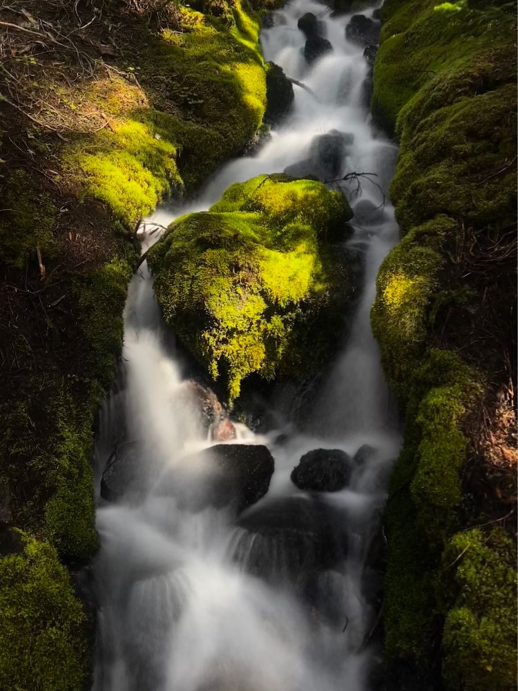 Long exposure of water cascading over moss covered rocks in dappled light 
