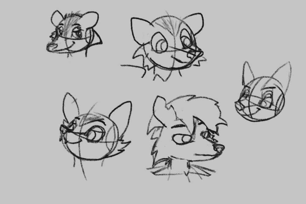 Sketches of a saucy possum, regular possum, some kinda dog and maybe a fox? I was kinda rushing trying to get practice as well as try out various angles.