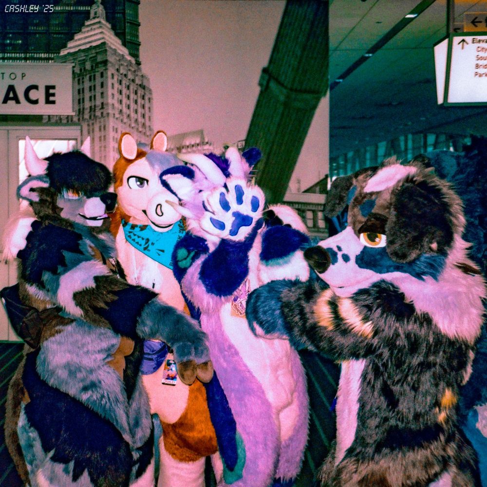 This is a photograph taken with color-shifting film of several fursuiters inside the DLCC at Anthrocon 2025. From left to right there's a bull, pegasus, dragon, and a collie, with a wolf just out of view on the right side. The dragon has his right hand up in a "NO CAMERAS!" sort of gesture. 