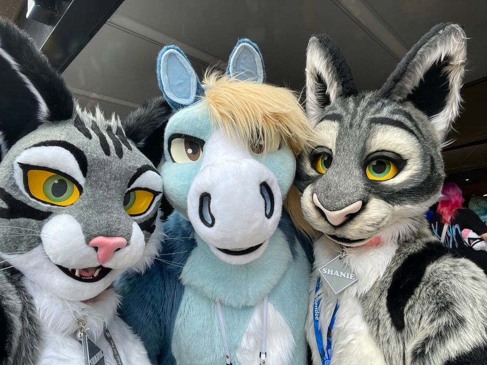 This is a candid close-up photograph of a blue pegasus fursuiter under the entryway to the CFZ Hilton, bracketed on both sides by uncannily identical grey tabby cats with yellow and green eyes. 