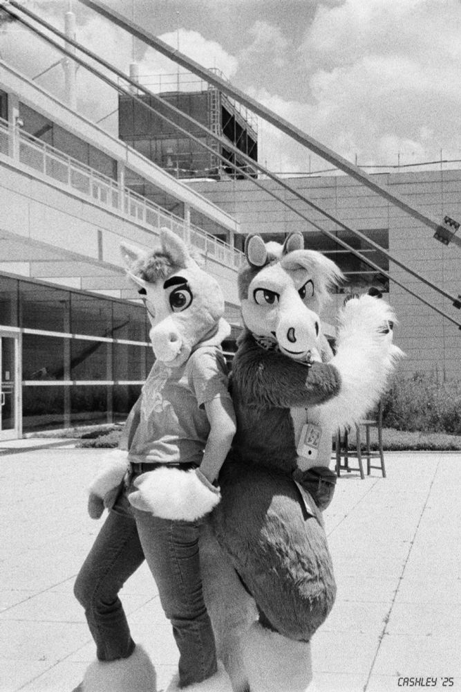 This is a black-and-white film photograph of two fursuiters standing back-to-back on the rooftop terrace of the DLCC at Anthrocon 2025. On the left is a kelpiecorn and on the right is a pegasus, and they're not quite doing the Charlie's Angels pose.