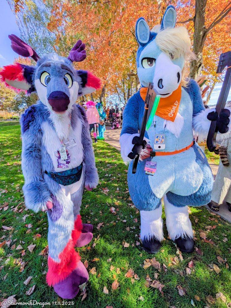 This is a candid outdoor photograph on the grounds of the Furpocalypse 2025 hotel, after the fursuit parade. On the left is a red, gray, and white deer and on the right is a blue and white pegasus holding two tomahawks. They're turned and facing the camera with a slight fisheye effect that's not unlike the "do you have any games on your phone" meme.