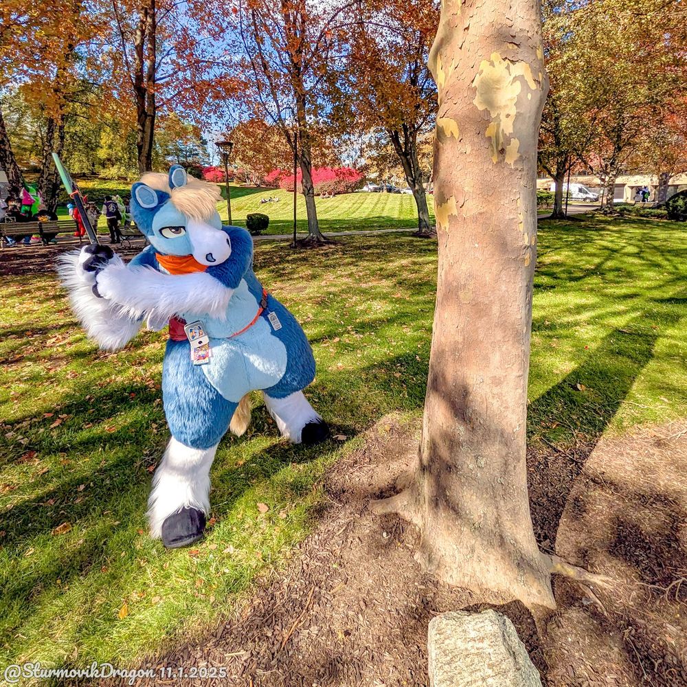 This is a photograph of a blue pegasus fursuiter standing outside in an autumnal park-like setting on the grounds of the Furpocalypse hotel, just after the fursuit parade. He's holding a prop tomahawk and standing to the left of a tree, poised like he's about to take a lumberjack swing at the tree trunk. 