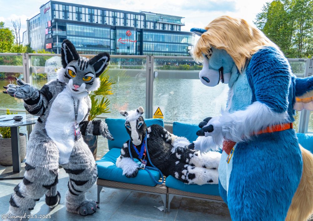 This is a photograph of three fursuiters standing on the outdoor deck at Brightsmith's at the ConFuzzled Hilton, with Pendigo Lake and Resorts World in the distance behind them. In the center is a black and white wingless unicorn sprawled across a blue patio sofa, with a grey tabby cat and a blue pegasus in the foreground looking utterly confounded by this development. 