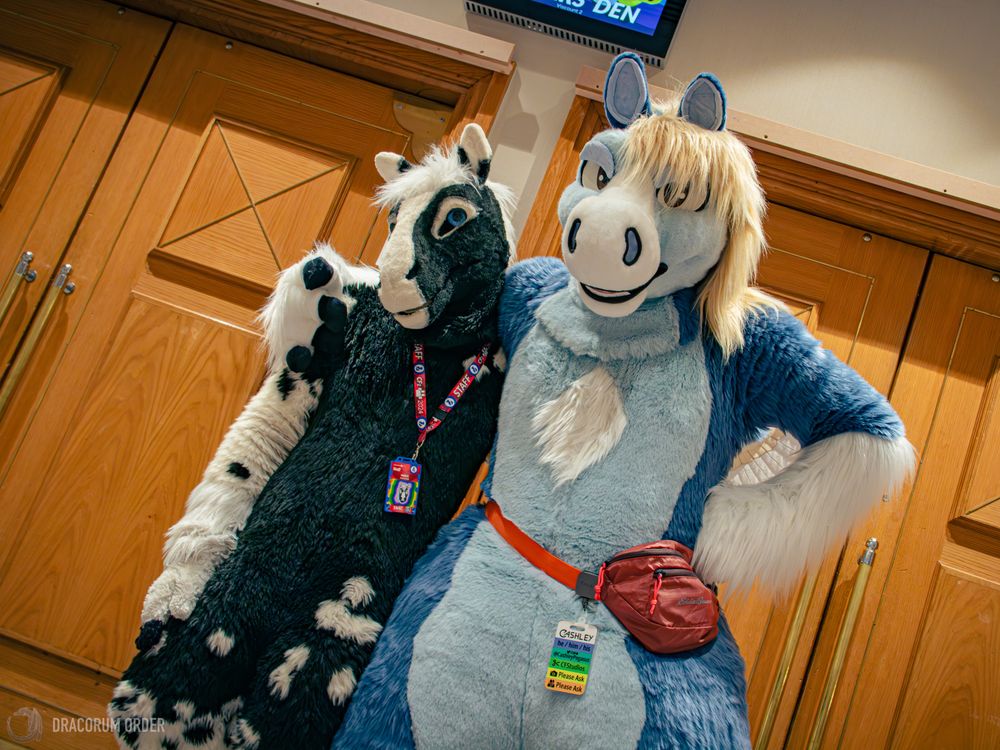 A candid photograph of two fursuiters standing side-by-side in front of a doorway at the ConFuzzled Hilton. On the right is a blue pegasus and on the left is a black and white hornless unicorn.