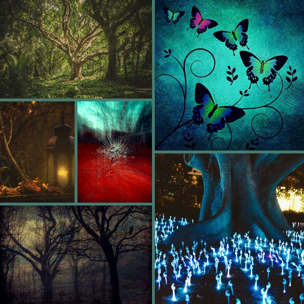 A collage of images: a mossy forest of twisty trees/ a lit lantern surrounded by leaves/ a tuft of thistledown on a red background/ an owl perched in leafless trees/ four painted butterflies on a blue background/ the thick bowl of a tree surrounded by glowing blue mushrooms. 