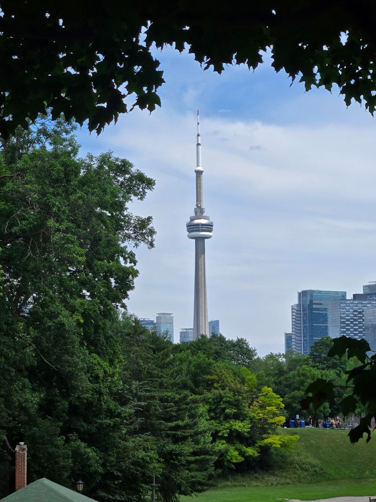 Photograph of the CN Tower framed by trees in a green park.