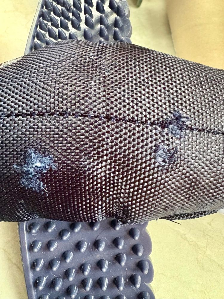 Dog toy with chewed body