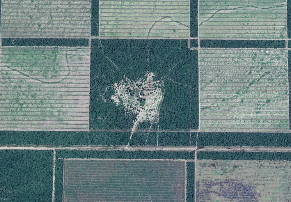 Forest-dependent smallholder homestead inside a larger, industrialized cattle ranch in the South American Gran Chaco.
