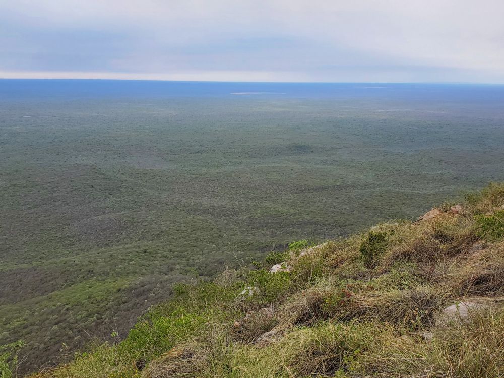 Kaa- Iya in Bolivia, the largest protected area in the Gran Chaco - a global deforestation hotspot.