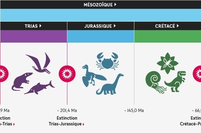 Après la crise Permien-Trias, la vie se reconstruit. Les mammifères, les dinosaures et de nombreuses autres espèces apparaissent au début du Mésozoïque, période dont les dinosaures sont emblématiques.