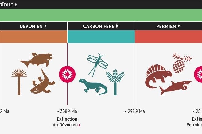 À la fin du Paléozoïque, si la vie continue d'évoluer dans les milieux aquatiques, de nombreux groupes gagnent aussi les terres émergées : plantes, arthropodes et tétrapodes peuplent de plus en plus de milieux.