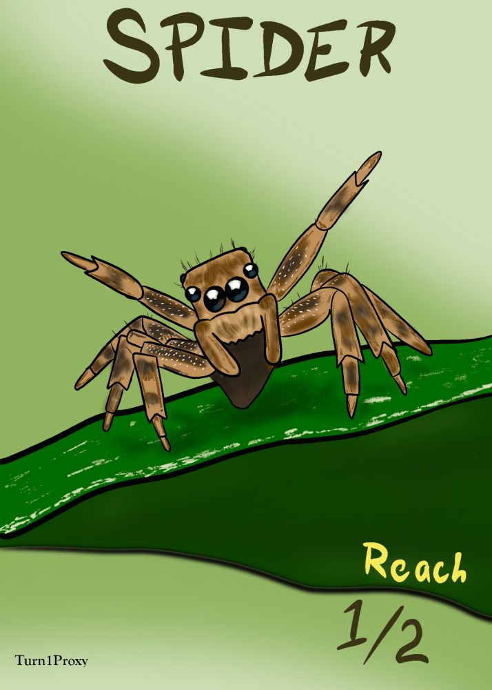 MtG token: 1/2 Spider with reach. Digital drawing of a jumping spider on a leaf.