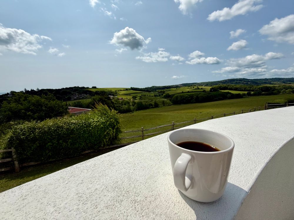 A white ceramic mug of coffee overlooking green pasture.