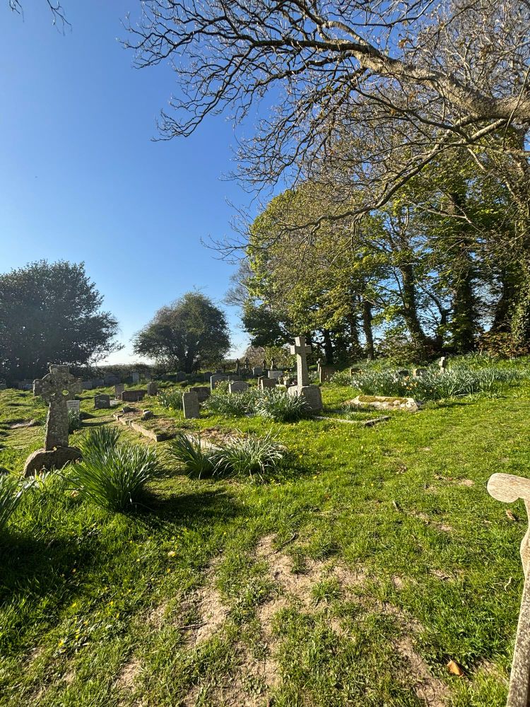 Gravestones and a horizon of trees in sunlight 