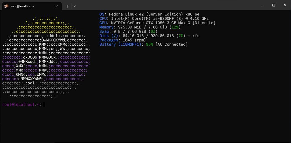 A Hyfetch command output on Fedora 42 server.