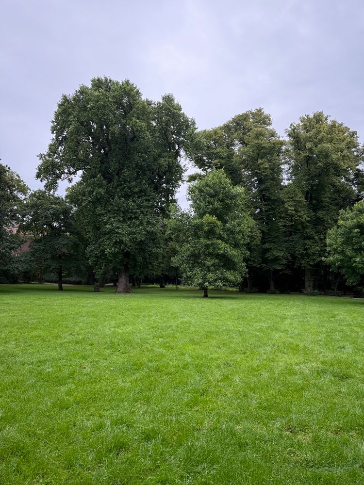 Picture of Kellinghusen-Park Hamburg