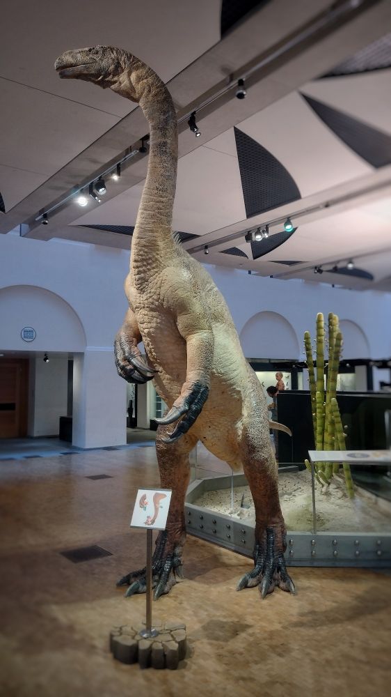 Cool model of Plateosaurus