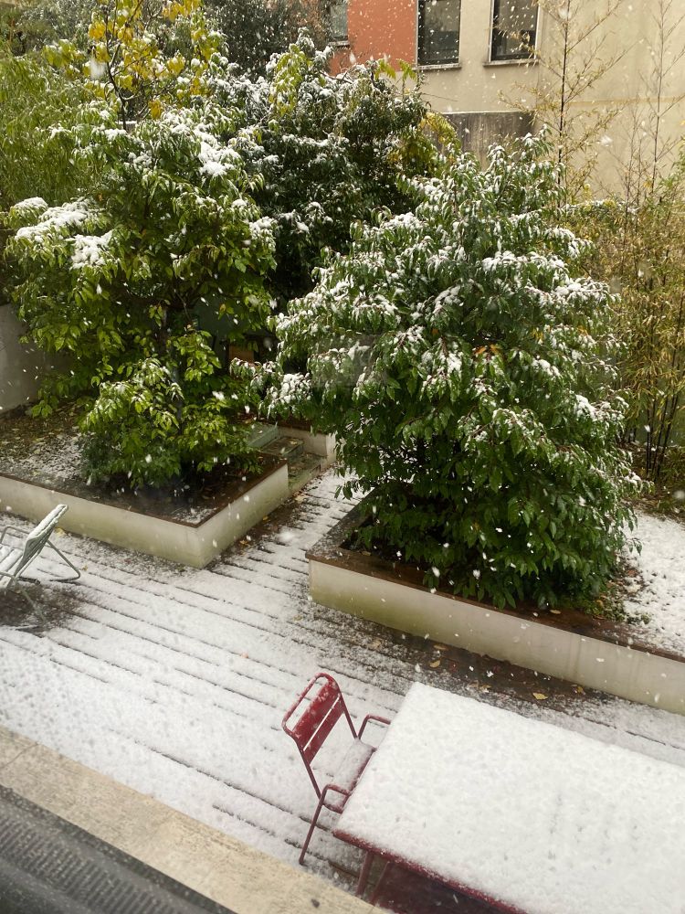 a view from a window showing a chair, a table ans some trees in a garden, under the snow 