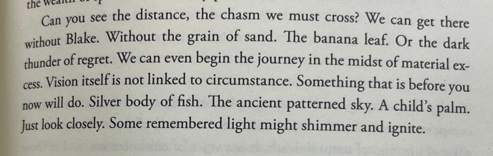 Can you see the distance, the chasm we must cross? We can get there without Blake. Without the grain of sand. The banana leaf. Or the dark thunder of regret. We can even begin the journey in the midst of material ex-cess. Vision itself is not linked to circumstance. Something that is before you now will do. Silver body of fish. The ancient patterned sky. A child's palm. Just look closely. Some remembered light might shimmer and ignite.

- pg 195 - The Weight of Small Bodies by Kimberly M. Blaeser 