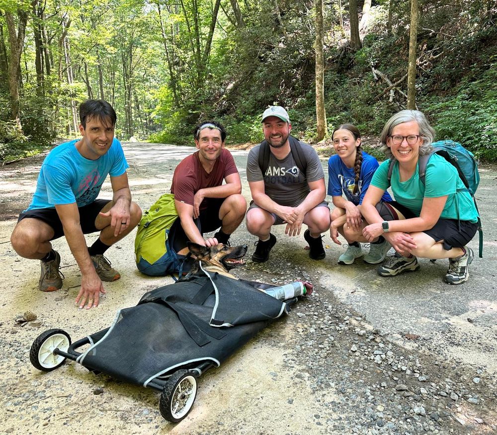 A group of people around a dog in a stretcher.