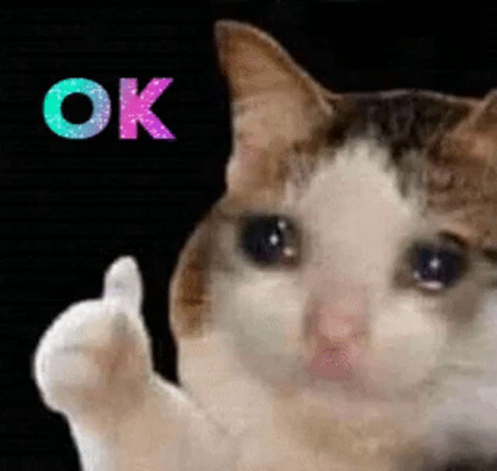 Crycat Crying Cat GIF