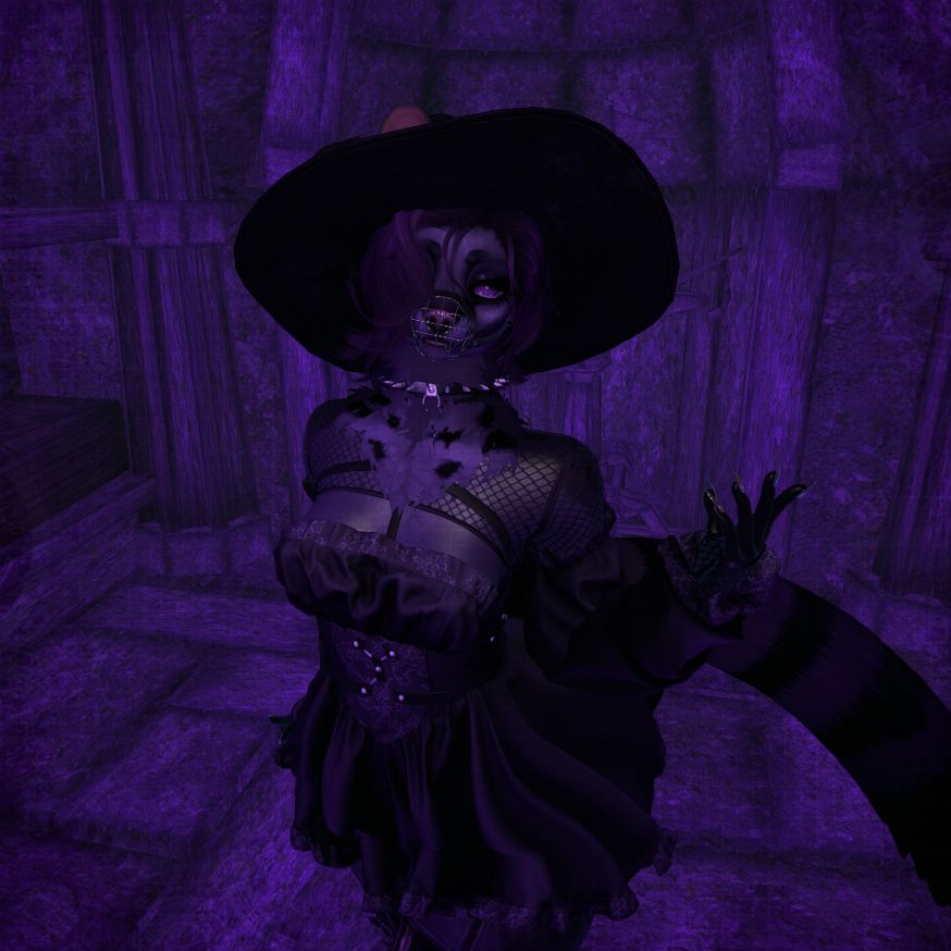 FrettchenHaus genet mod in Charcoal!