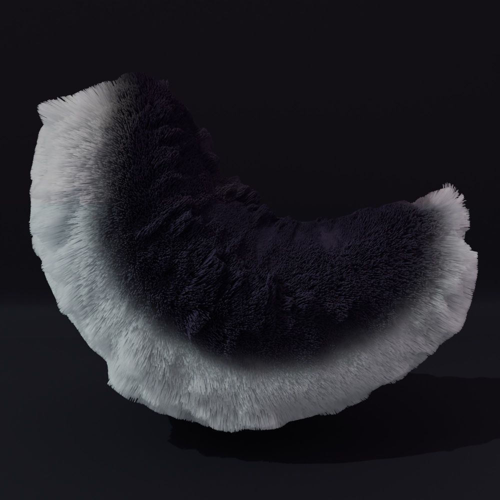 #furry #blender #blender3d #tail #render