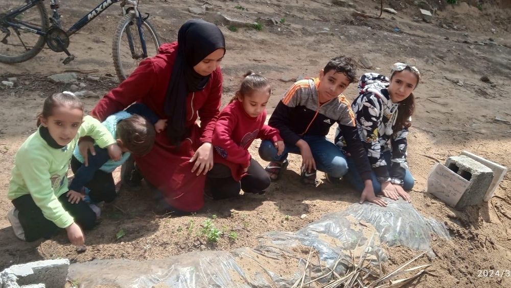 Donate to Help my family lives in the north of Gazastrip, organized by Mai Jadalhaq