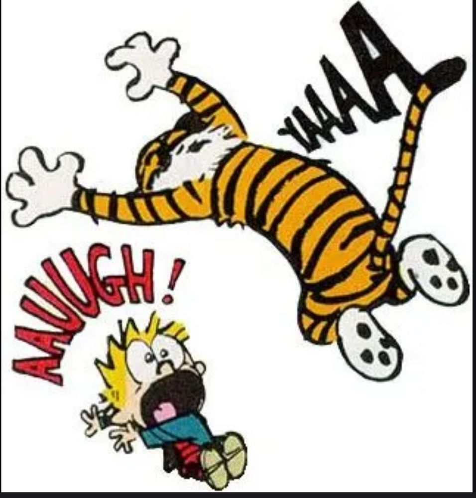 Calvin and Hobbes frame where Hobbes is pouncing on Calvin, who is screaming AAUUGH!