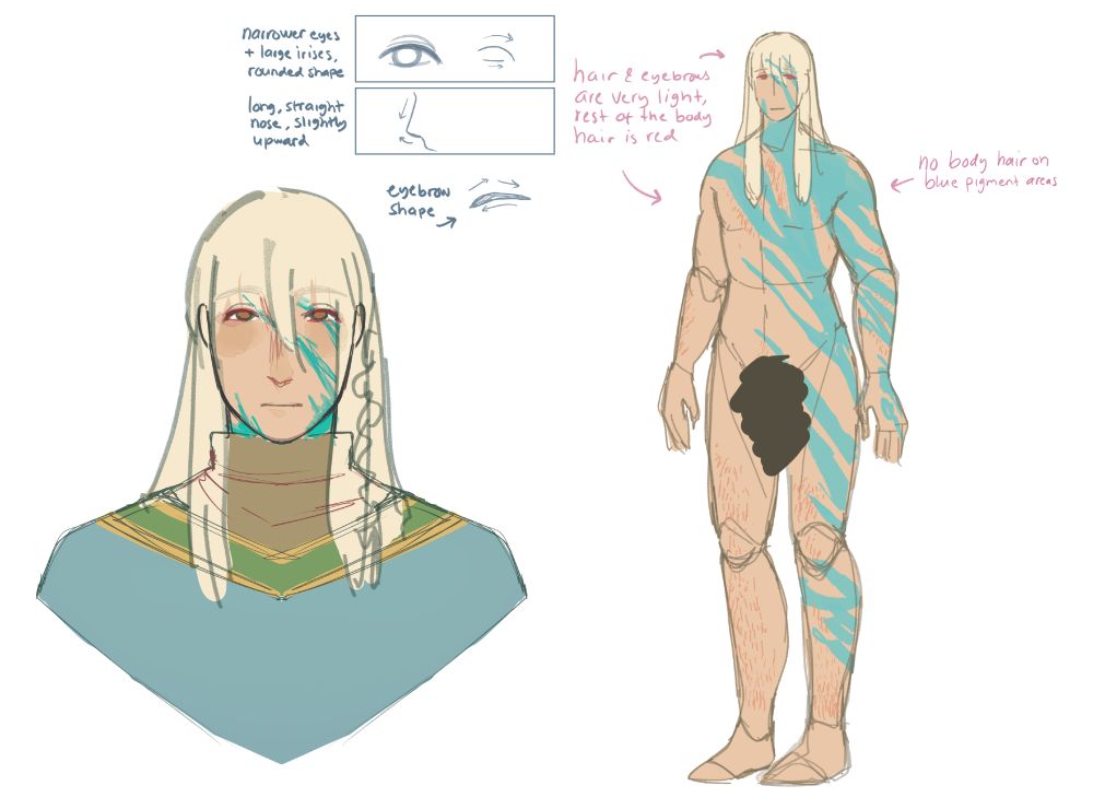Two drawings of my OC Jalava, a bust-up and a fullbody. He's a tall, lean man with light skin but even lighter, long hair. His eyes are brown, and across his body run long blue streaks as if paint was splattered over his left side. Image texts: "Narrower eyes + large irises, rounded shape", written next to a close-up of an eye in a separate box. Below it is an image of a nose with the text "long, straight nose, slightly upturned". Further down is a sketch of his eyebrow shape. On fullbody two arrows pointing at him read "hair and eyebrows are very light, rest of the body hair is red" and "no body hair on blue pigmented areas". 