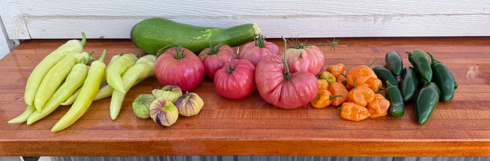 A pile of banana peppers, tomatillos, beefsteak tomatoes, habanero and jalapeño peppers plus two zucchini 