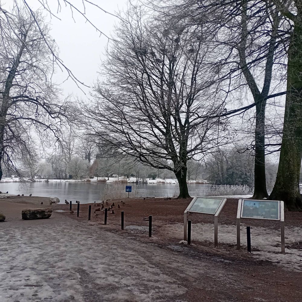 Winter view of templemore town park 