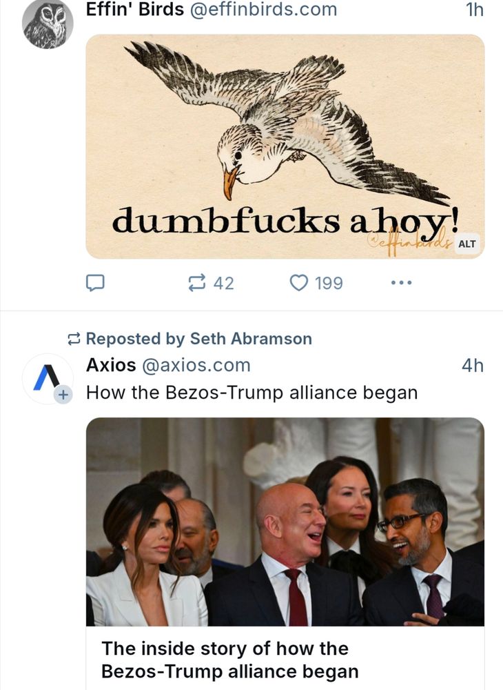 EffinBirds "dumbfucks a hoy" bird over an Axios headline "The inside story of how the Bezos-Trump alliance began"