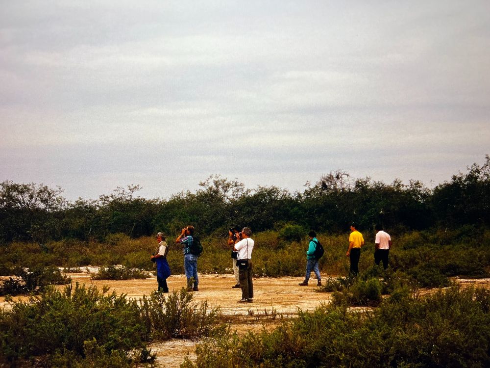People birdwatching in Paraguay