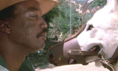 White Dog (1982)