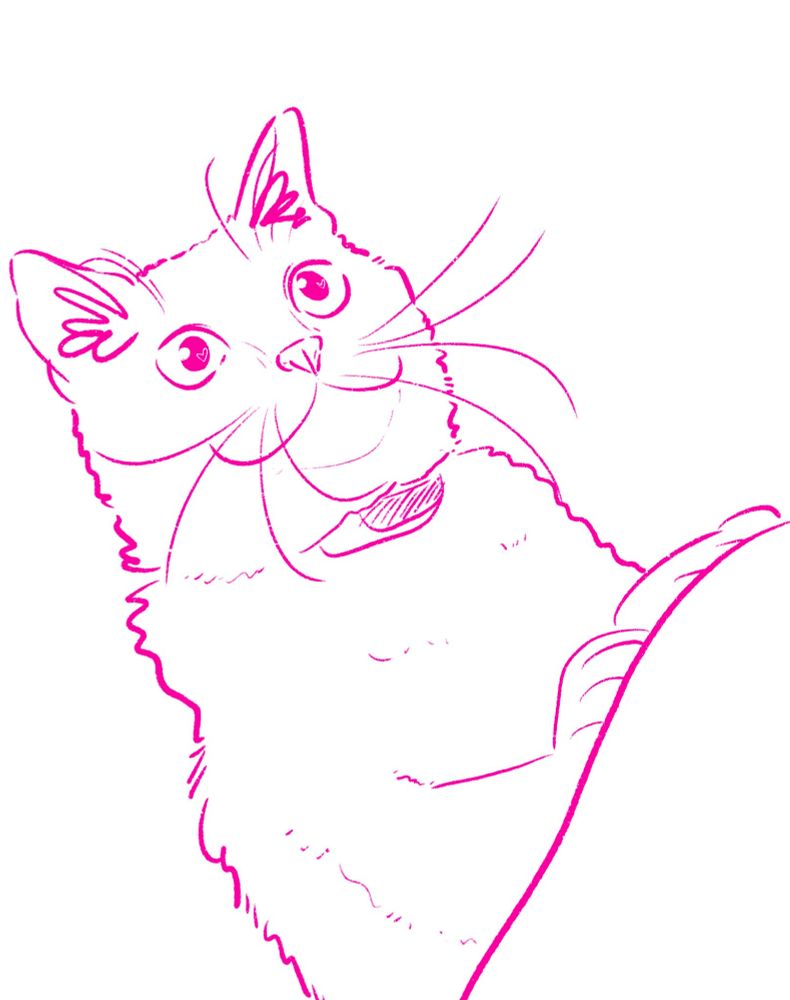 Sketch of a cat looking up, eyes wide, smile big.
