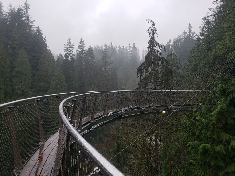 Cliff Walk at the Capilano Suspension Bridge Park.