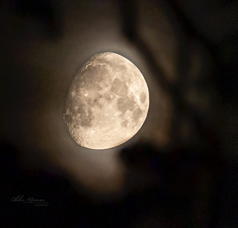 Waxing gibbous moon surrounded by illuminated clouds and silhouetted tree branches. 