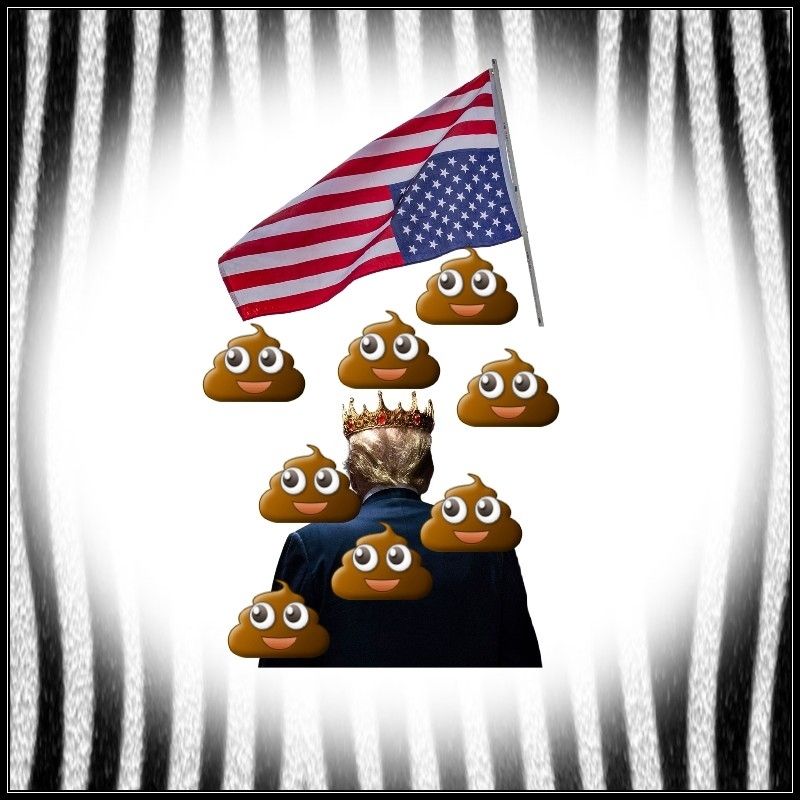 An upside down flag is shitting on President Trump in a king's crown. Trump is surrounded by jailhouse bars.