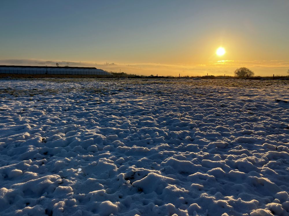 Sun low over the snow