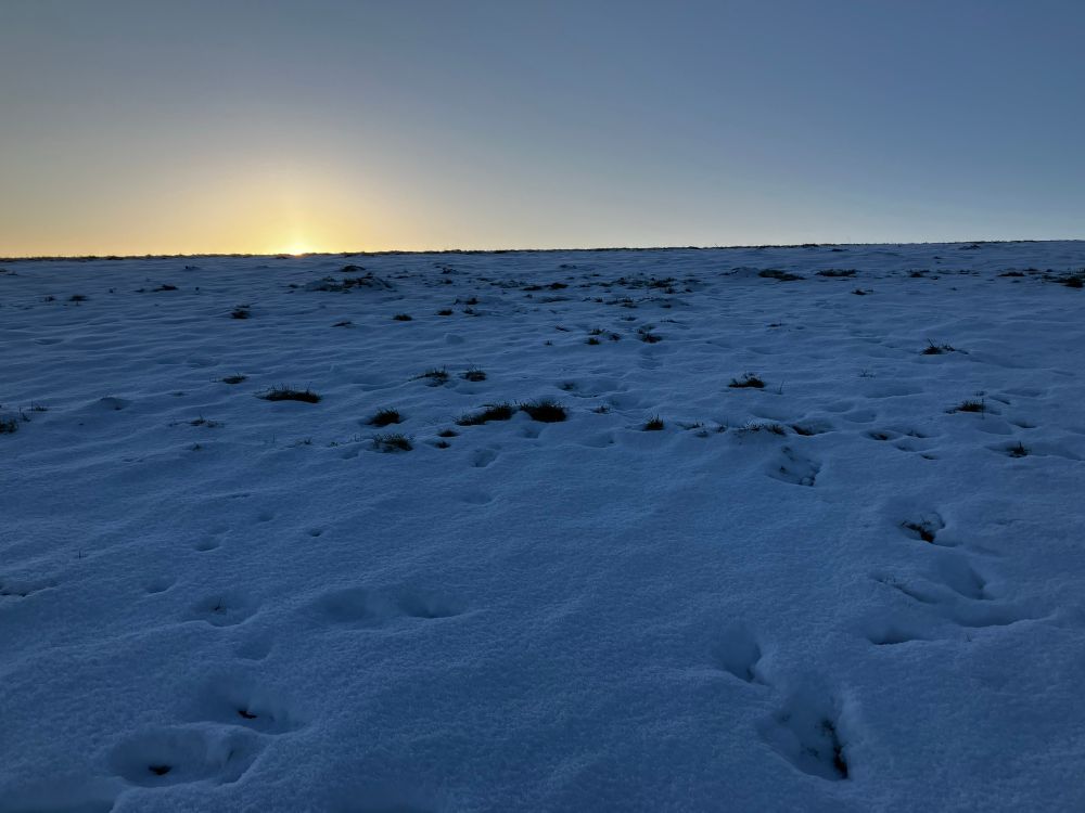 Sunrise over the fell
