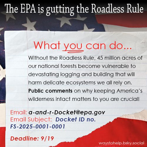 The EPA is gutting the Roadless Rule...Without the Roadless Rule, 45million acres of our national forests become vulnerable to devastating logging and building that will harm delicate ecosystems we all rely on.  WHAT YOU CAN DO...Public comments are crucial!  Submit yours on why keeping America's wilderness intact matters to you.  Email:  a-and-r-Docket@epa.gov with an Email Subject of: Docket ID no.FS-2025-0001-0001. The deadline for Public Comment submission is 9/19/2025.