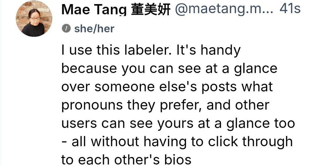 A screenshot of the post that begins this thread, as it would appear in my feed when I use the labeler in question. Below my name, and above the text of the post I made, is a small line of text giving the label: "she/her".
